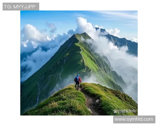 张磊的攀岩人生：在高峰之上与自我对话的深度探索