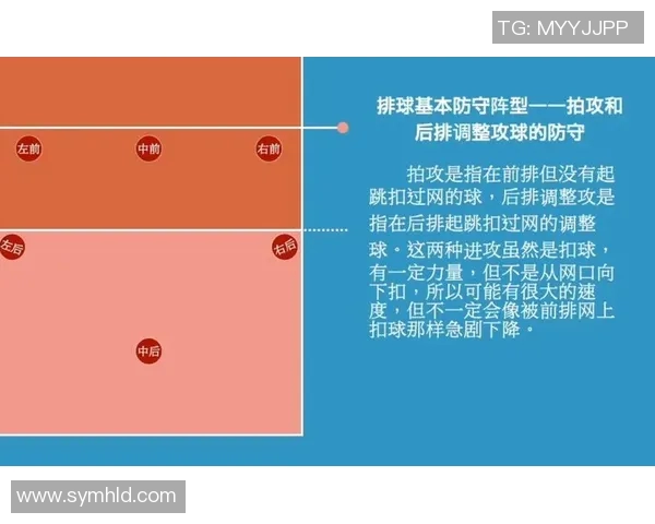 深圳排球队进攻战术解析与实战应用探讨